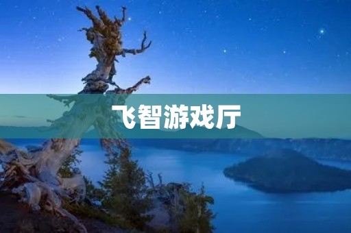 飞智游戏厅:提供全新游戏体验的娱乐场所 飞智游戏厅:提供全新游戏体验的娱乐场所