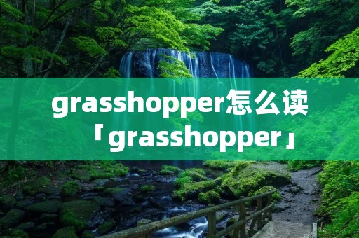 grasshopper怎么读「grasshopper」