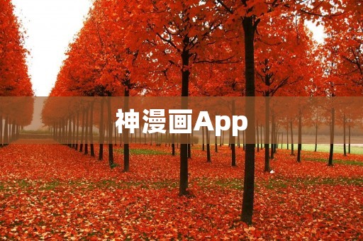 神漫画App：畅享精彩漫画世界