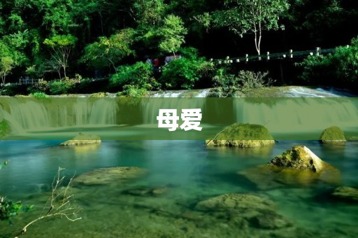 母爱:世间最伟大的力量 母爱:世间最伟大的力量