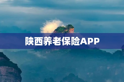 陕西养老保险APP：方便快捷的养老保险服务
