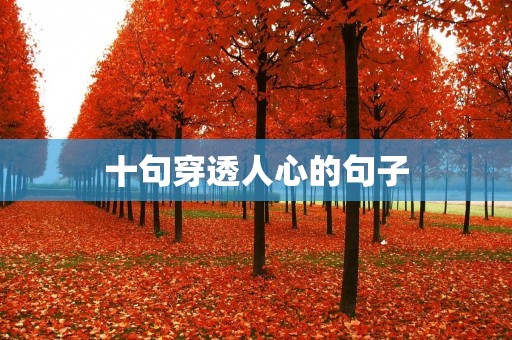 十句穿透人心的句子:点燃内心的力量,改变一生的智慧 十句穿透人心的句子:点燃内心的力量,改变一生的智慧