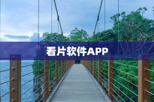 看片软件APP：一触即达的色情世界？