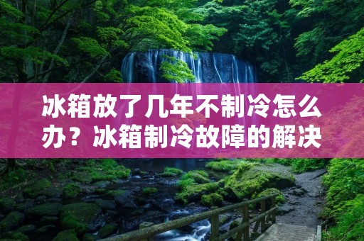 冰箱放了几年不制冷怎么办?冰箱制冷故障的解决方法 冰箱放了几年不制冷怎么办?冰箱制冷故障的解决方法