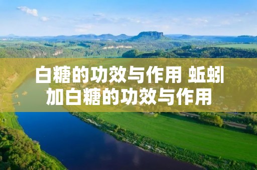 白糖的功效与作用 蚯蚓加白糖的功效与作用