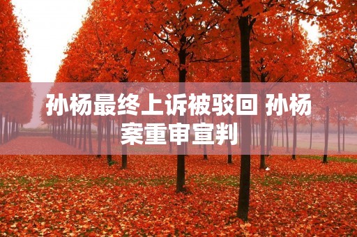 孙杨最终上诉被驳回 孙杨案重审宣判 孙杨最终上诉被驳回 孙杨案重审宣判