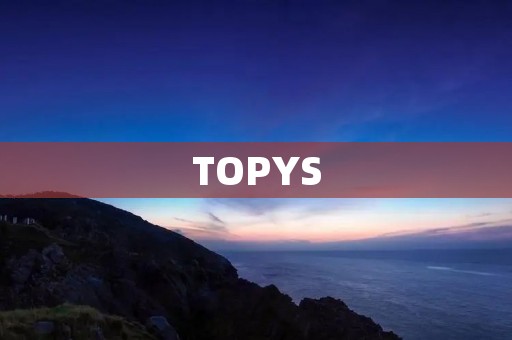 TOPYS:一站式综合实用工具平台 TOPYS:一站式综合实用工具平台