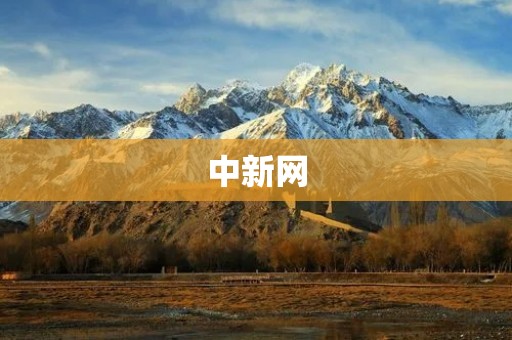 中新网：深入报道全球新闻，为你呈现最新最全的资讯