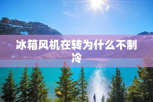 冰箱风机在转为什么不制冷 冰箱风机在转为什么不制冷