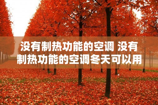 没有制热功能的空调 没有制热功能的空调冬天可以用吗?