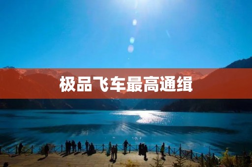 极品飞车最高通缉：全球玩家热爱的极速竞技游戏！