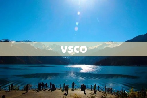VSCO：颜值与功能兼备的手机滤镜神器