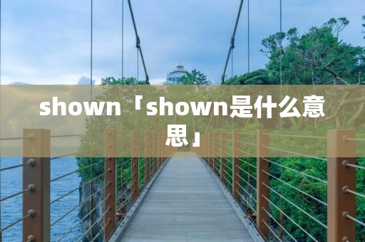 shown「shown是什么意思」