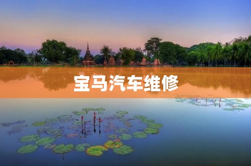 宝马汽车维修:专业技术为您的座驾保驾护航 宝马汽车维修:专业技术为您的座驾保驾护航