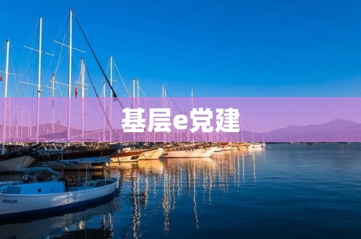 基层e党建：打造党员服务新模式