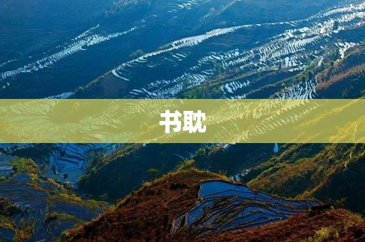 书耽：追寻文字世界的心灵栖息地