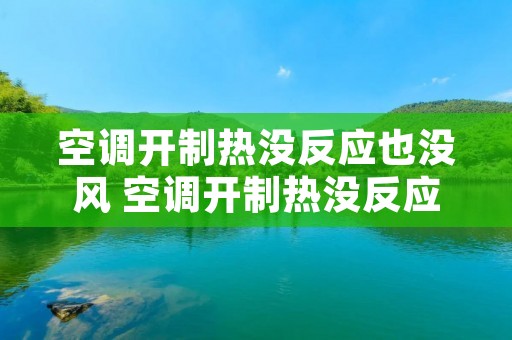 空调开制热没反应也没风 空调开制热没反应也没风但是制冷有风