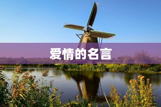 爱情的名言:用心灵去感受爱情的真谛