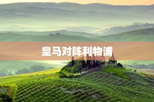 皇马对阵利物浦：欧冠巅峰对决掀起足球狂潮