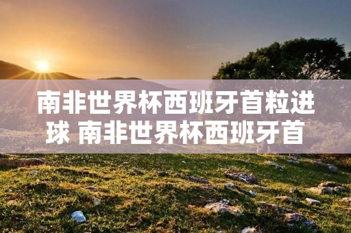 南非世界杯西班牙首粒进球 南非世界杯西班牙首粒进球了吗