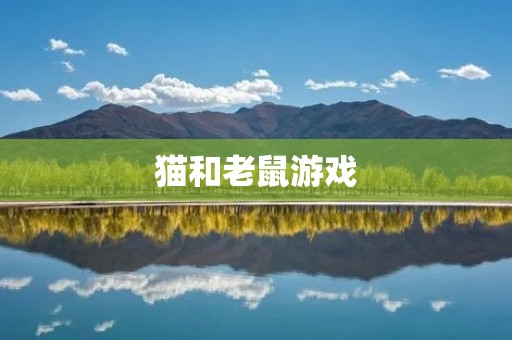 猫和老鼠游戏：经典的童年回忆