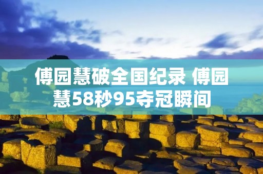 傅园慧破全国纪录 傅园慧58秒95夺冠瞬间
