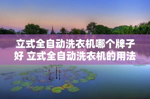 立式全自动洗衣机哪个牌子好 立式全自动洗衣机的用法 立式全自动洗衣机哪个牌子好 立式全自动洗衣机的用法