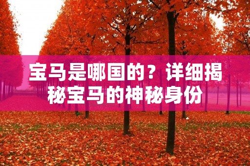 宝马是哪国的？详细揭秘宝马的神秘身份