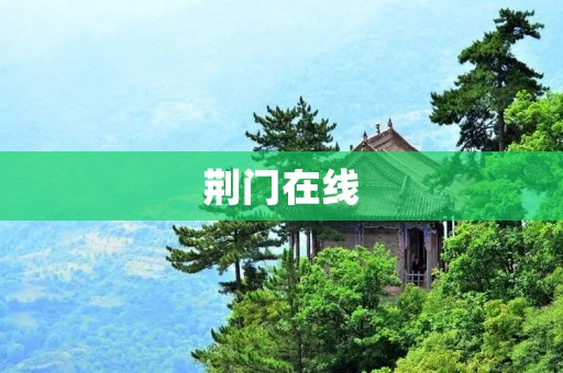 荆门在线：方便快捷的信息交流平台