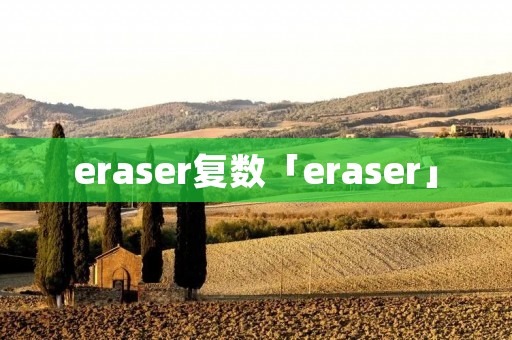 eraser复数「eraser」