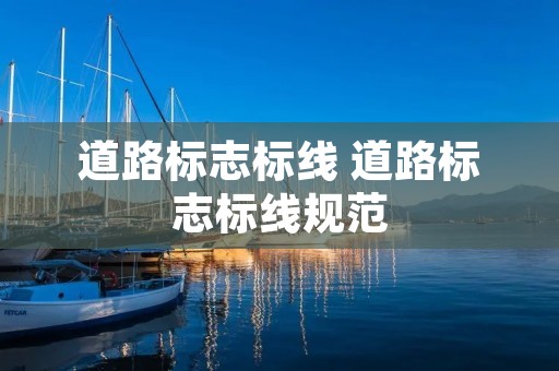 道路标志标线 道路标志标线规范