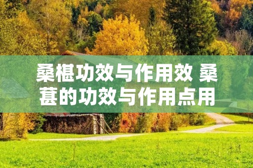 桑椹功效与作用效 桑葚的功效与作用点用