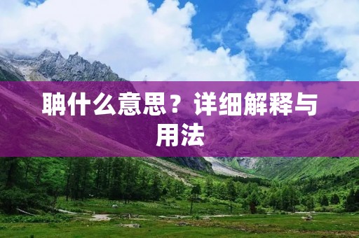 聃什么意思?详细解释与用法