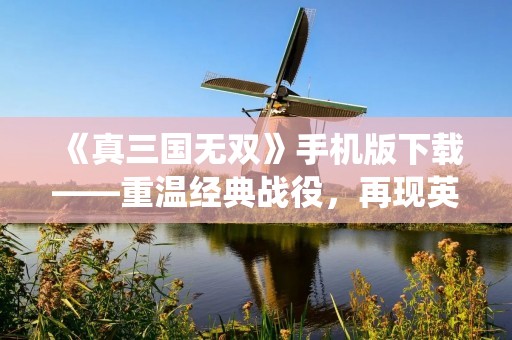《真三国无双》手机版下载——重温经典战役,再现英雄辉煌