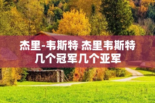 杰里-韦斯特 杰里韦斯特几个冠军几个亚军