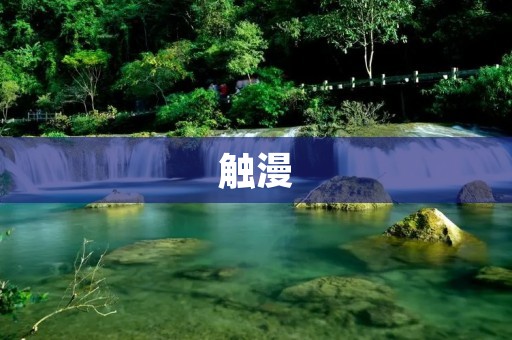 触漫：打开创作的新世界