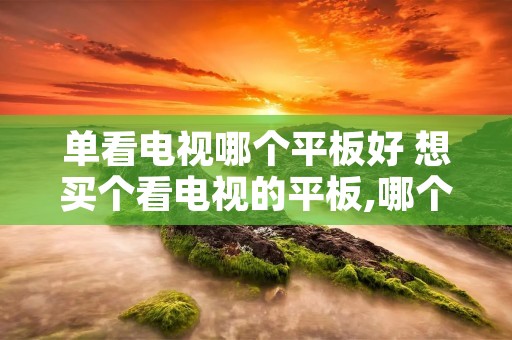 单看电视哪个平板好 想买个看电视的平板,哪个比较合适 单看电视哪个平板好 想买个看电视的平板,哪个比较合适