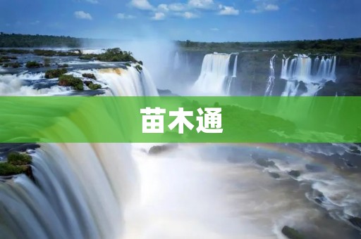 苗木通:打通苗木供应链,助力绿色生态建设 苗木通:打通苗木供应链,助力绿色生态建设
