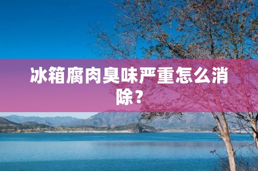 冰箱腐肉臭味严重怎么消除? 冰箱腐肉臭味严重怎么消除?