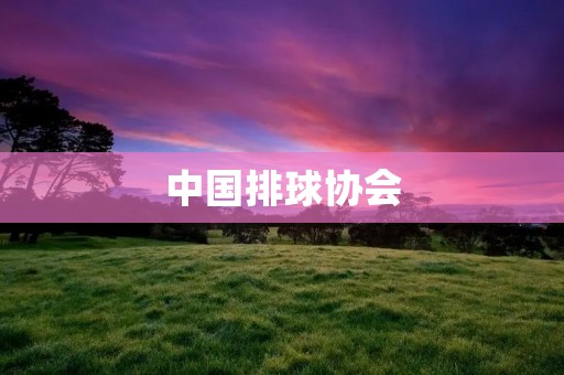 中国排球协会:推动中国排球事业蓬勃发展的领导者 中国排球协会:推动中国排球事业蓬勃发展的领导者