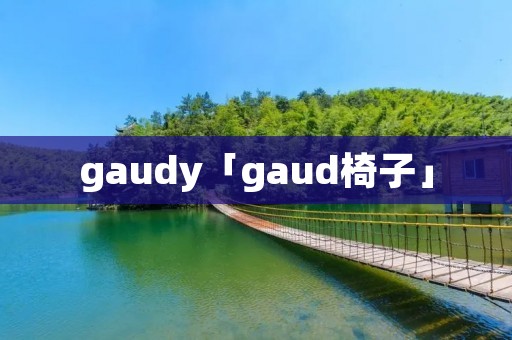 gaudy「gaud椅子」