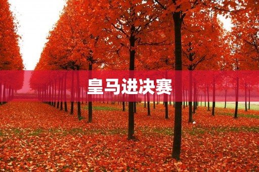 皇马进决赛：新一代英雄崛起，再次征服欧洲舞台