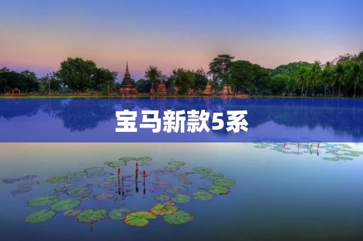 宝马新款5系:豪华与性能的完美融合 宝马新款5系:豪华与性能的完美融合