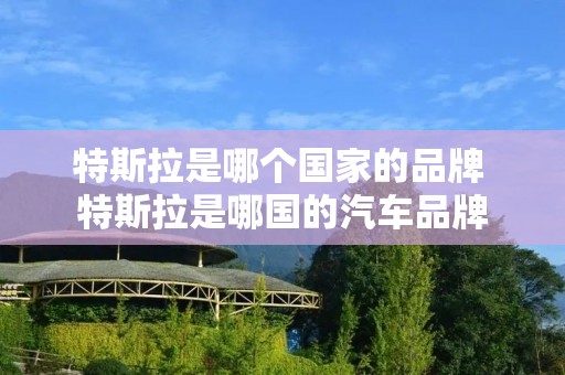 特斯拉是哪个国家的品牌 特斯拉是哪国的汽车品牌