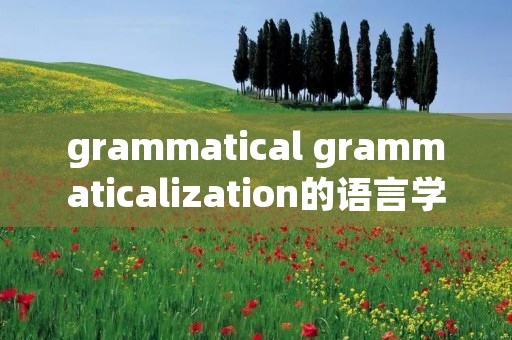 grammatical grammaticalization的语言学定义