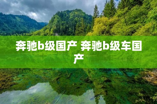 奔驰b级国产 奔驰b级车国产 奔驰b级国产 奔驰b级车国产