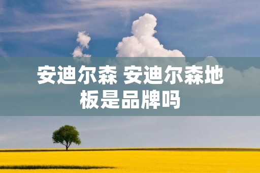 安迪尔森 安迪尔森地板是品牌吗