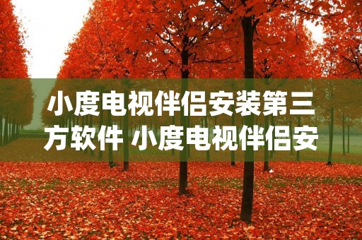 小度电视伴侣安装第三方软件 小度电视伴侣安装app 小度电视伴侣安装第三方软件 小度电视伴侣安装app
