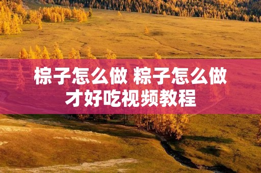 棕子怎么做 粽子怎么做才好吃视频教程