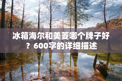 冰箱海尔和美菱哪个牌子好?600字的详细描述 冰箱海尔和美菱哪个牌子好?600字的详细描述